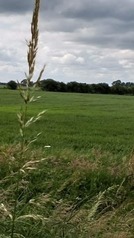 Lincolnshire