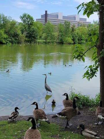 Washington Park